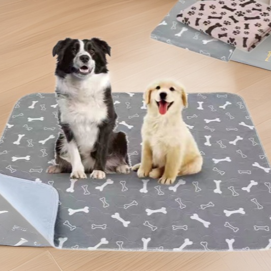 Absorbent Pet Training Pad